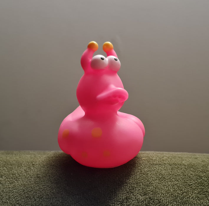 Animal Mini Rubber Ducks