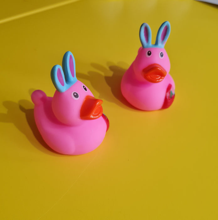 Animal Mini Rubber Ducks