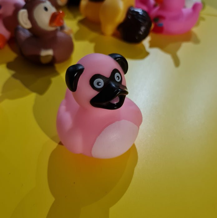 Animal Mini Rubber Ducks