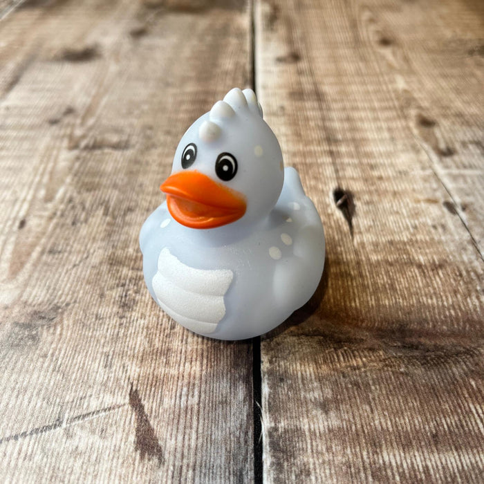 Animal Mini Rubber Ducks