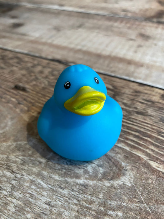 Single colour Mini Rubber Ducks.