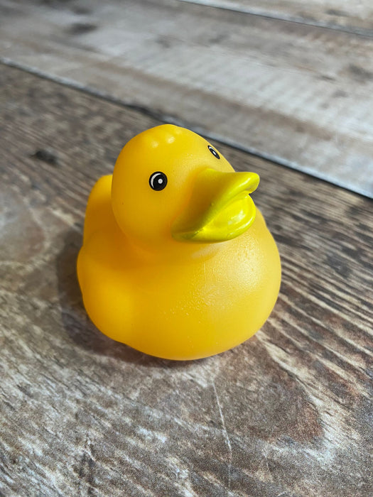 Single colour Mini Rubber Ducks.