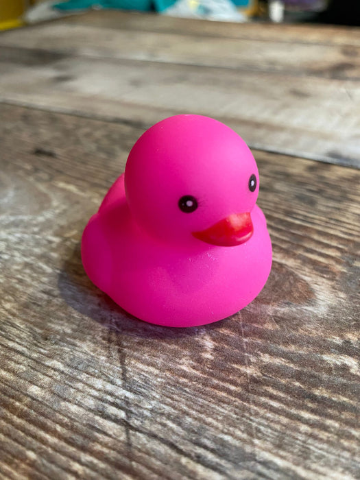 Single colour Mini Rubber Ducks.