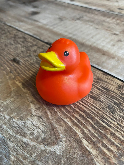 Single colour Mini Rubber Ducks.