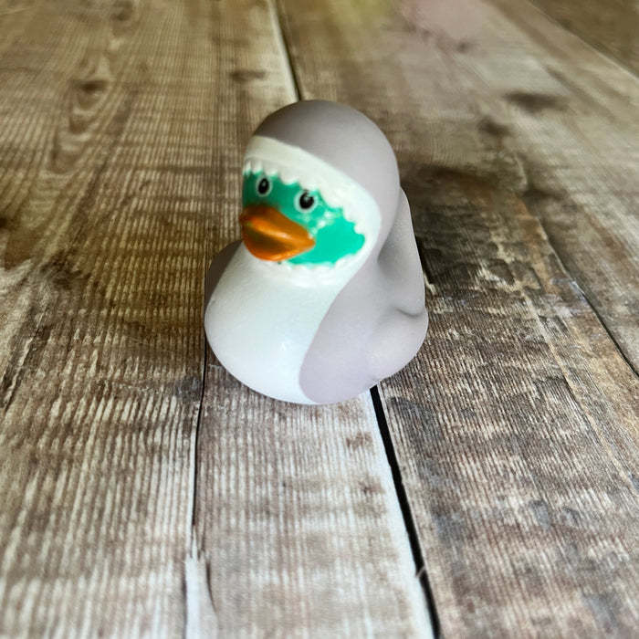 Animal Mini Rubber Ducks