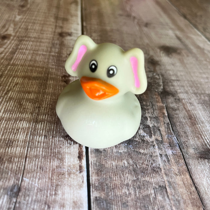 Animal Mini Rubber Ducks