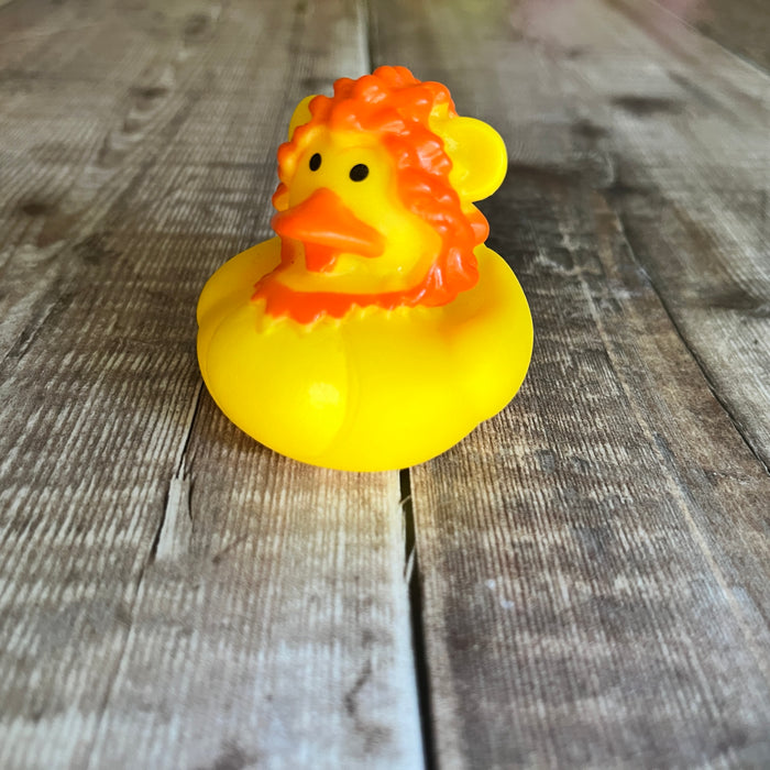 Animal Mini Rubber Ducks