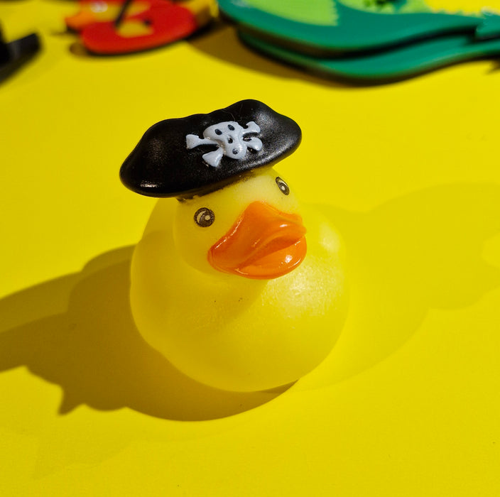 Pirate Mini Rubber Ducks