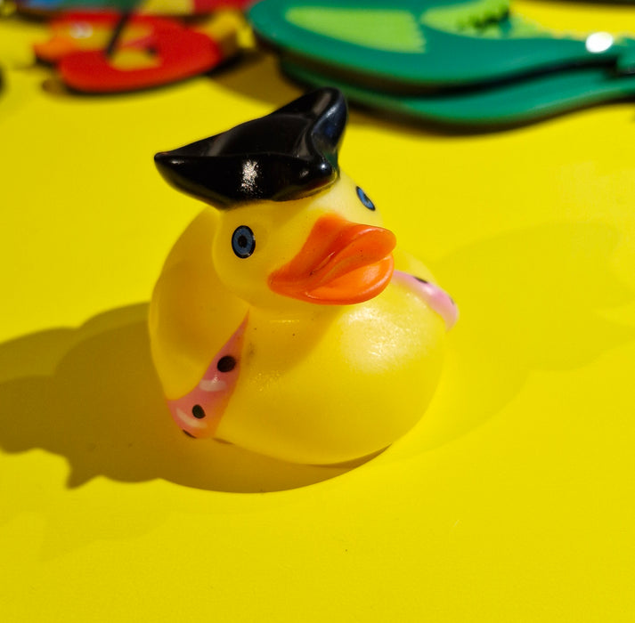 Pirate Mini Rubber Ducks